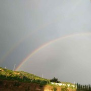 张爱霞1503505海报