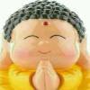 修心中🙏
