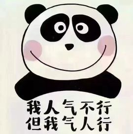 饺子💕暂停直播主播照片