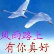 蓝天zgy的头像