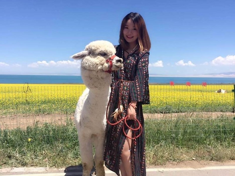金刚芭比W的主播海报
