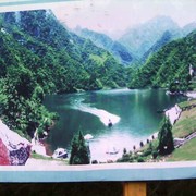 黑土地6