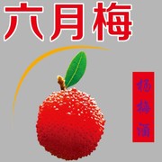 六月梅杨梅酒