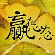 风度以旧