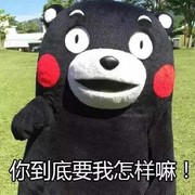 拥有bl