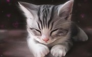 CaoCaoCq