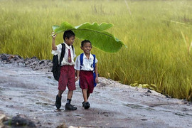 自由海盗~主播照片