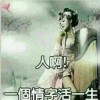 为你停留片刻n的头像