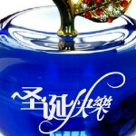 蔡兴4