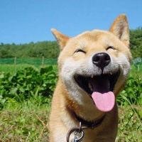凌儿*响叮当的主播照片