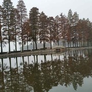LIYOk