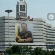 DBH东北虎1318