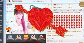 一只雁~主播照片
