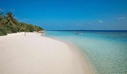 浮生严