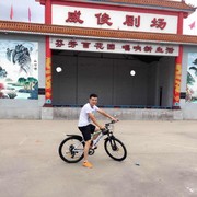 磊子iq