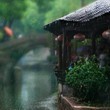 夏天lps海报