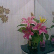 纯属意外的一生海报