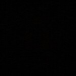 琦琦家【阿毅】