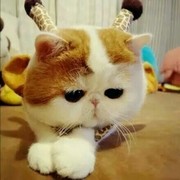 思忆