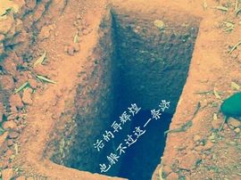 v好结局哦该主播照片