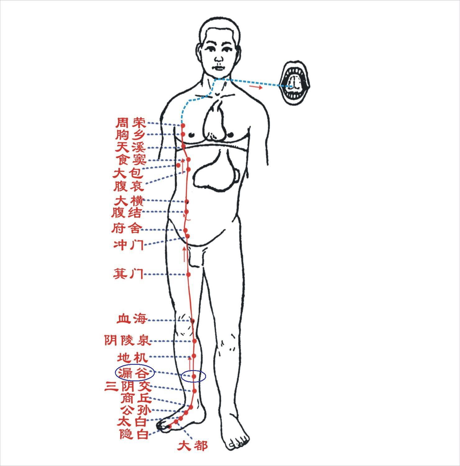 和合时尚的主播照片