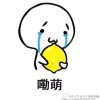 影子家的中二