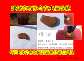黄蜡石-黄龙玉-逍遥主播照片