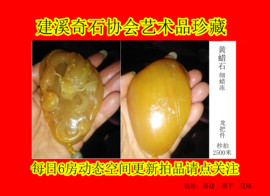 黄蜡石-黄龙玉-逍遥主播照片
