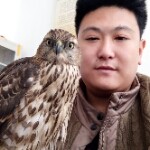 日照猎鹰s