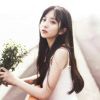 栀子。1