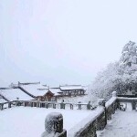 天下无贼你是贼