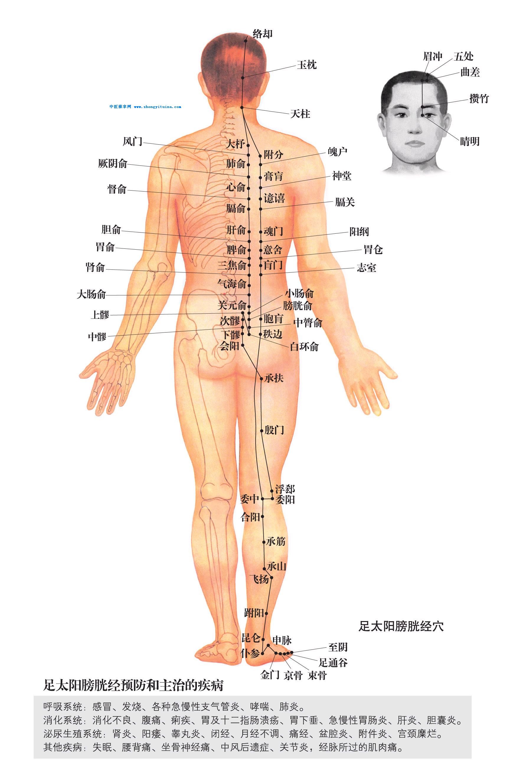 和合时尚的主播照片