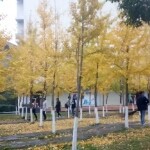 顺其自然wx