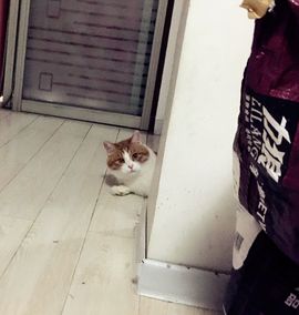 七月的舞蹈主播照片