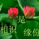雄★鷹★部★隊的主播照片