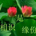 雄★鹰★部★队主播照片