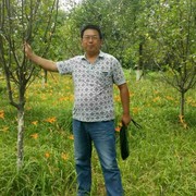 盛启明