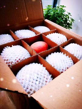 ♫Mr、墨西ლ主播照片