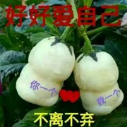 武哥0k