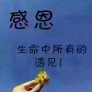 云淡风轻1b海报