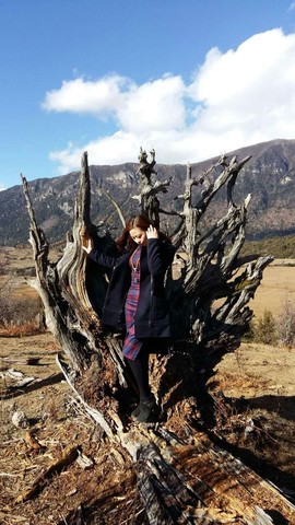 西西带你去巴松措主播照片