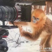 踏歌而行。海报