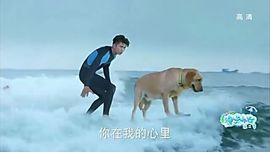 ✨媳婦⭐求🌙帶走✨主播照片