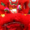 豆角遇到懒虫