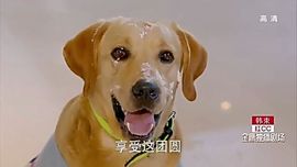 ✨媳婦⭐求🌙帶走✨主播照片