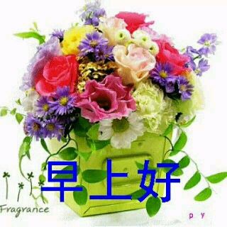 雄★鷹★部★隊的主播照片