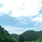 伟哥ri