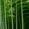 我爱大草原w