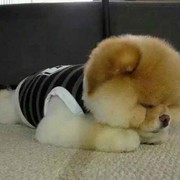 つ高调奢华那一s的头像