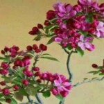 开心at